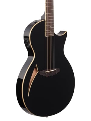 ESP LTD TL-6 Thinline Acoustic Electric Guitar Black